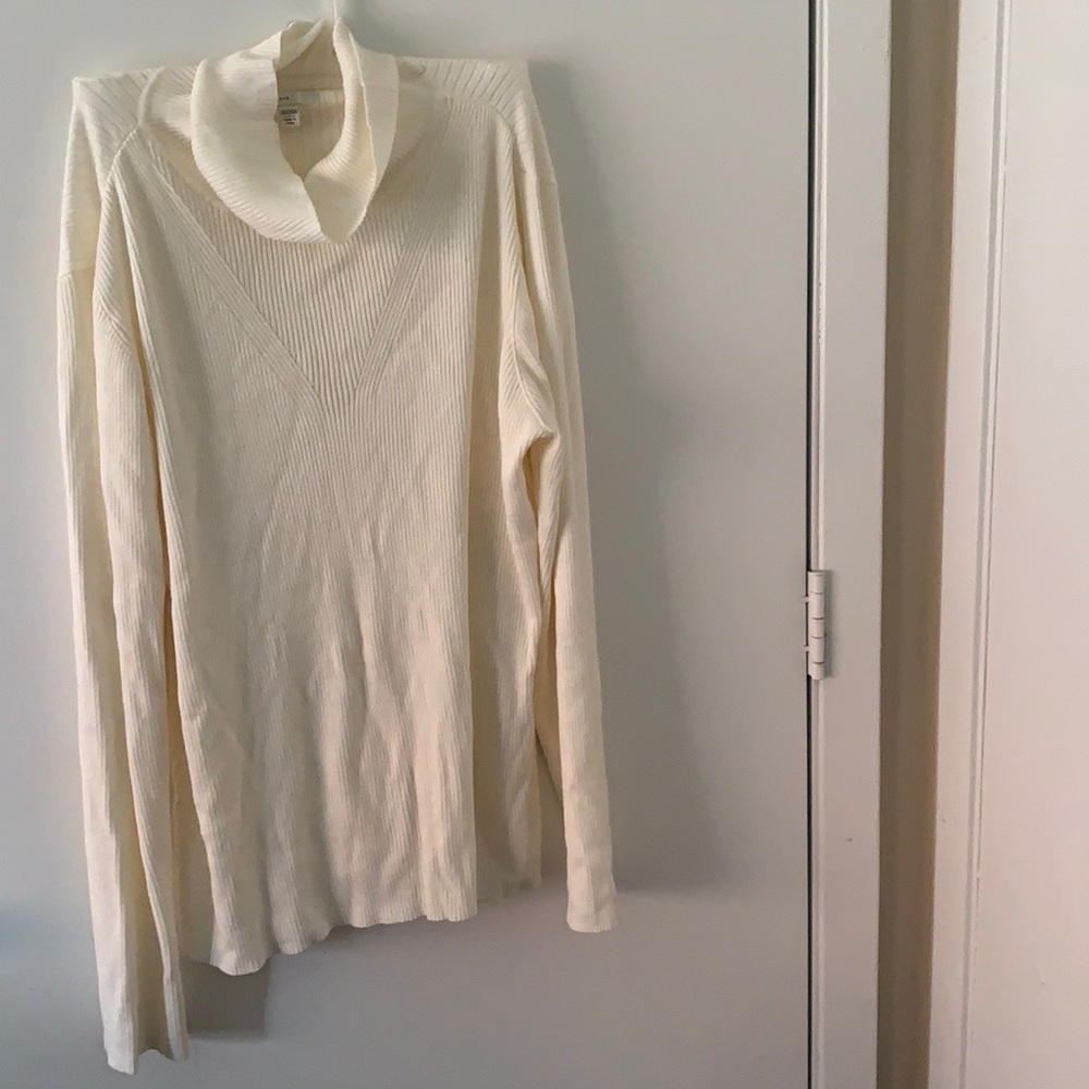 Cato’s turtle neck sweater